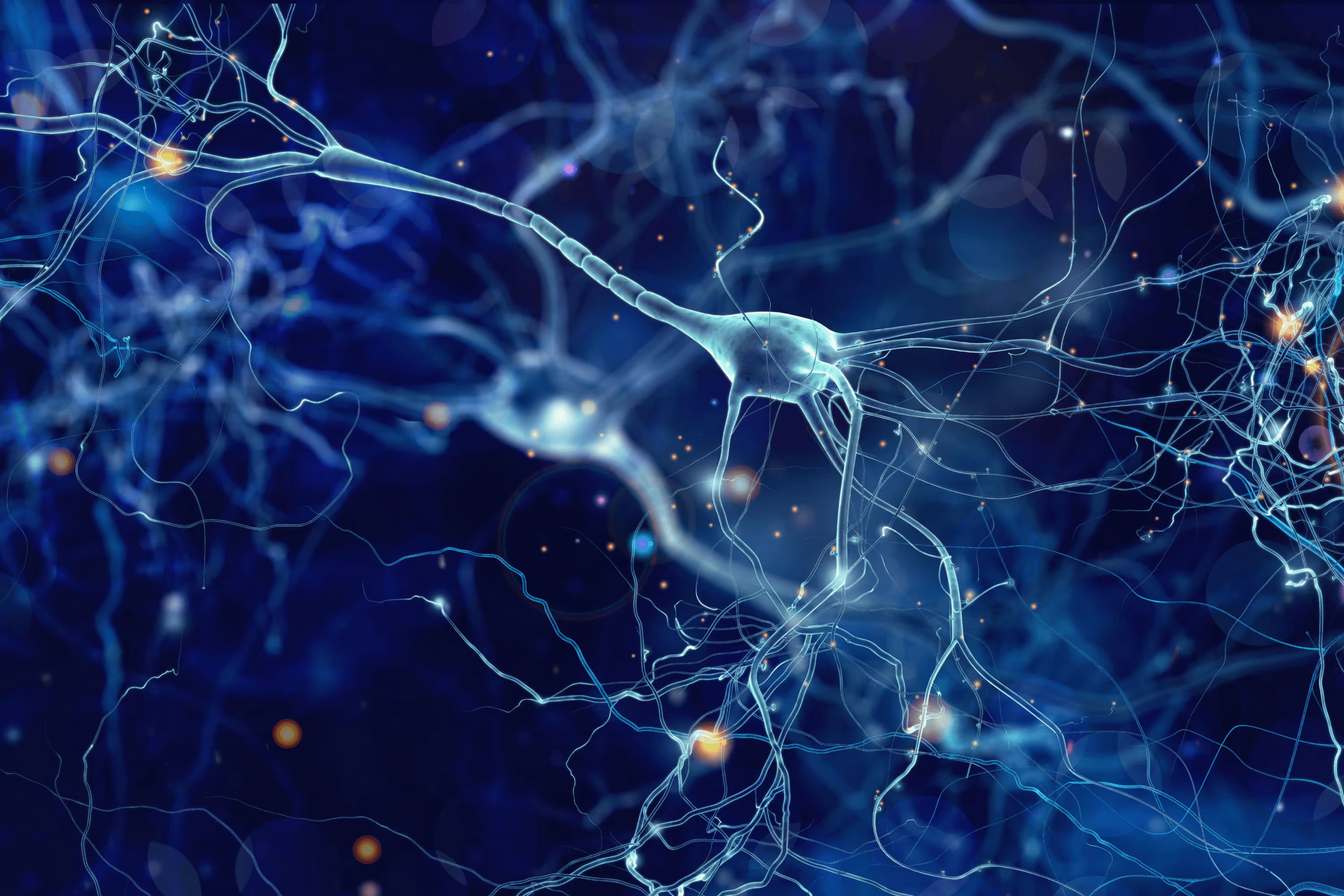 Nutritional therapies targeting the neuronal AhR for functional bowel disorders and IBS in children