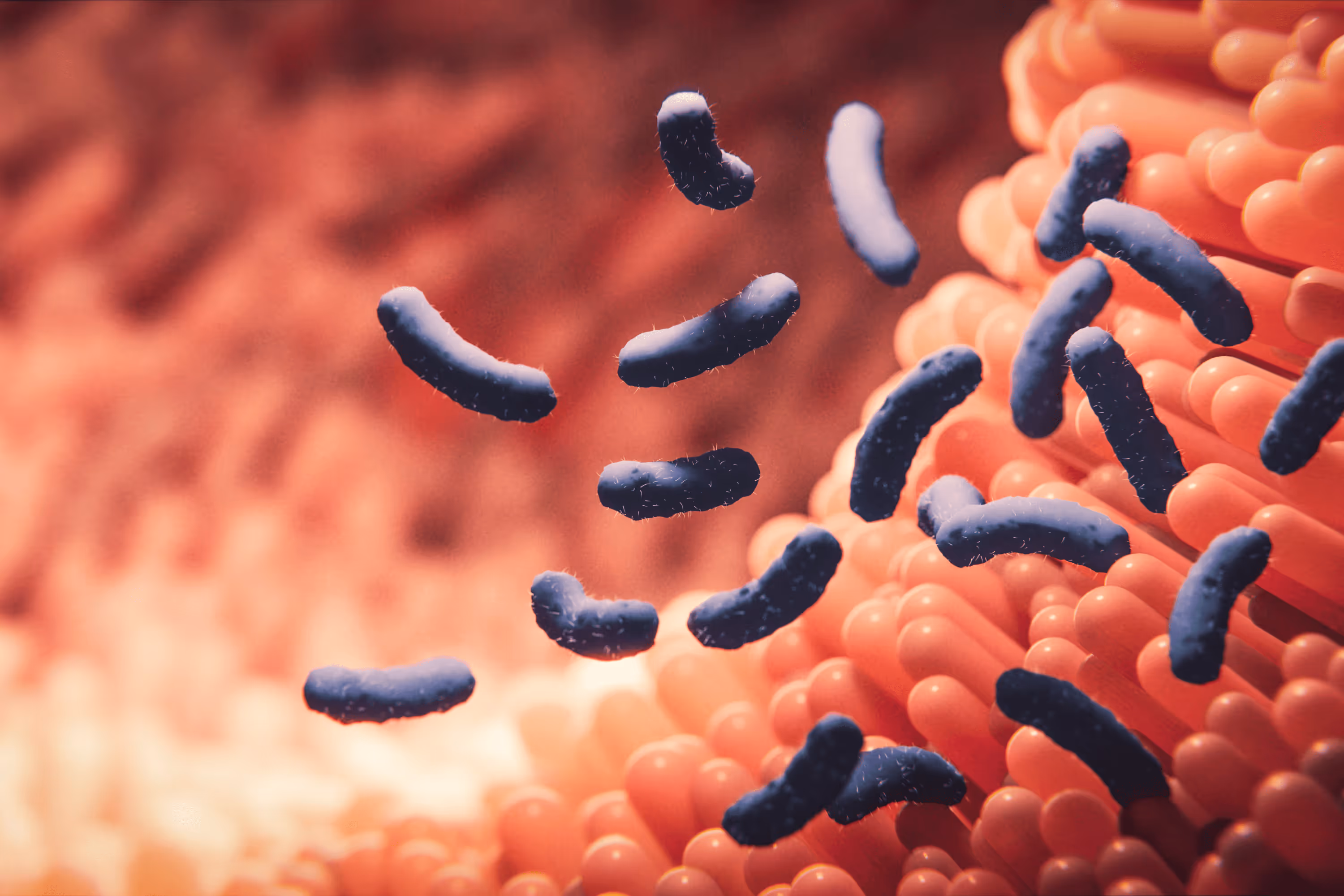 Mother-Infant Factors in Early Colonization by E. coli & AIEC