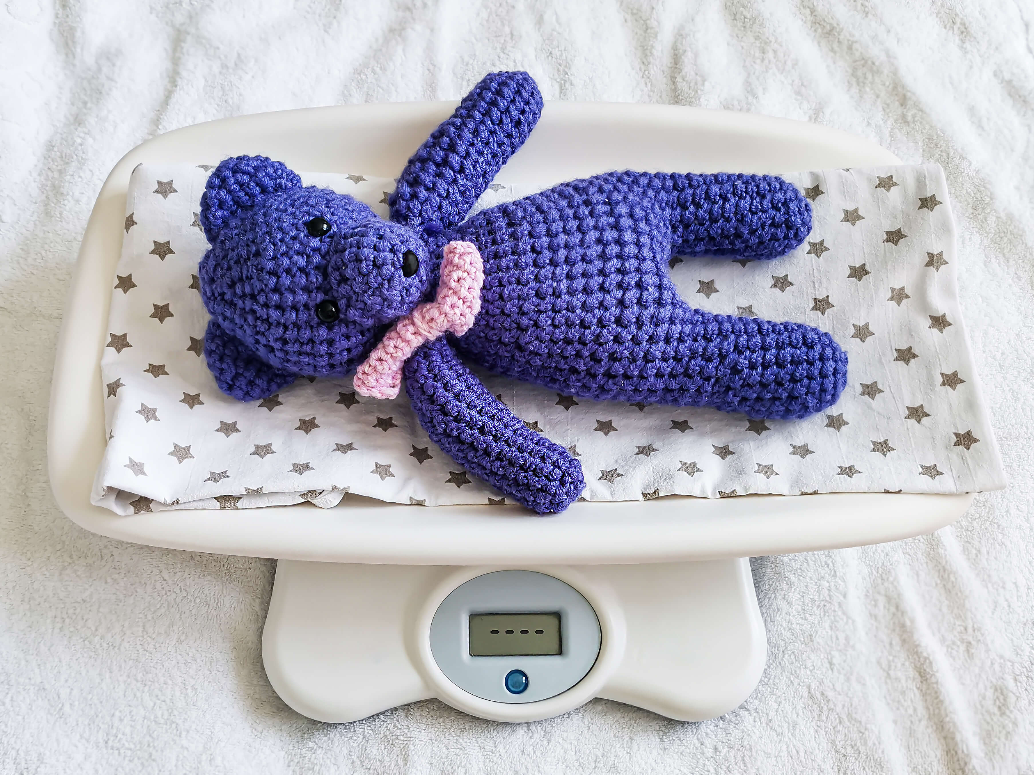 Intestinal homeostasis in the prevention of pediatric obesity and its consequences on health