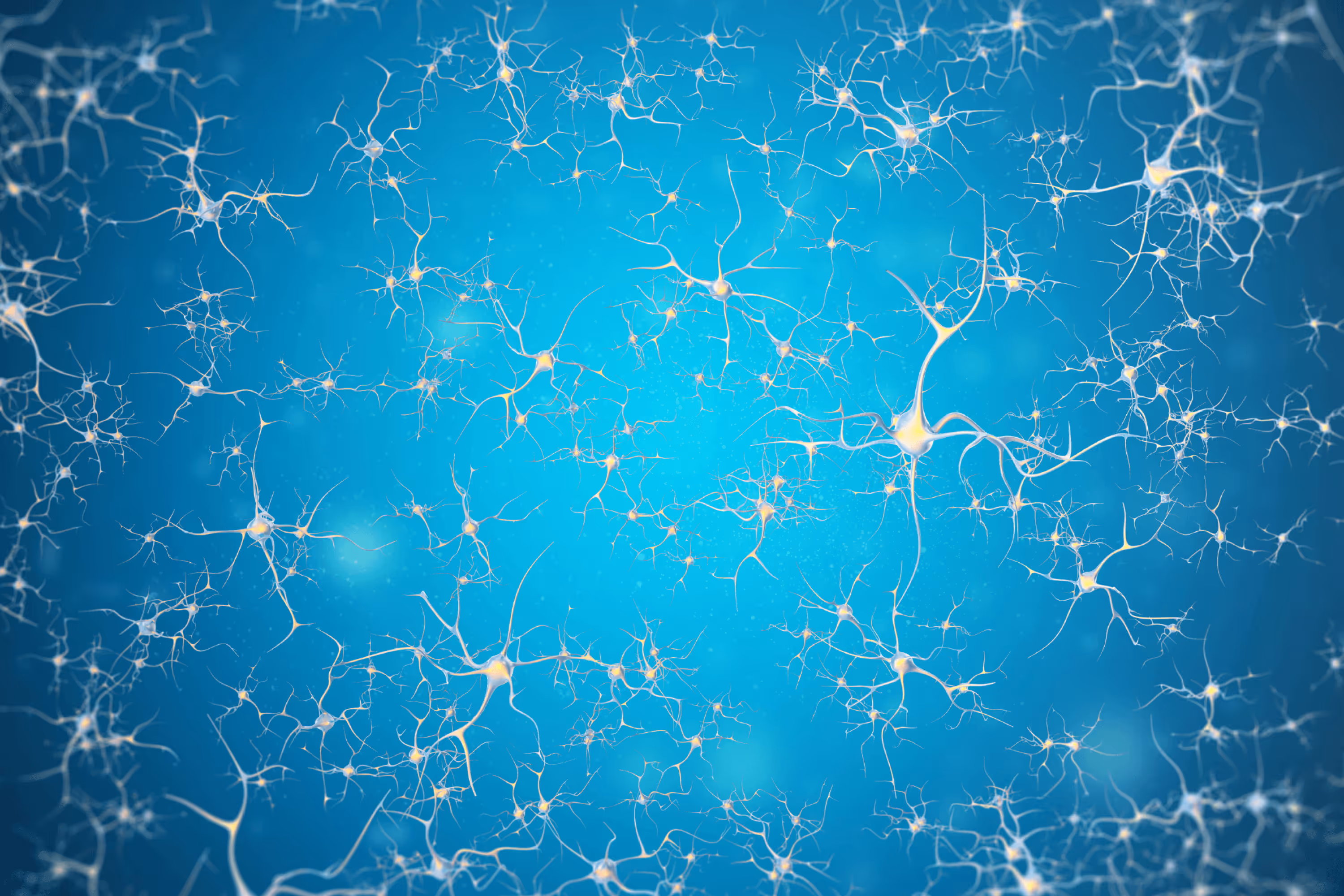Exploring the role of the enteric nervous system on myelination during early life