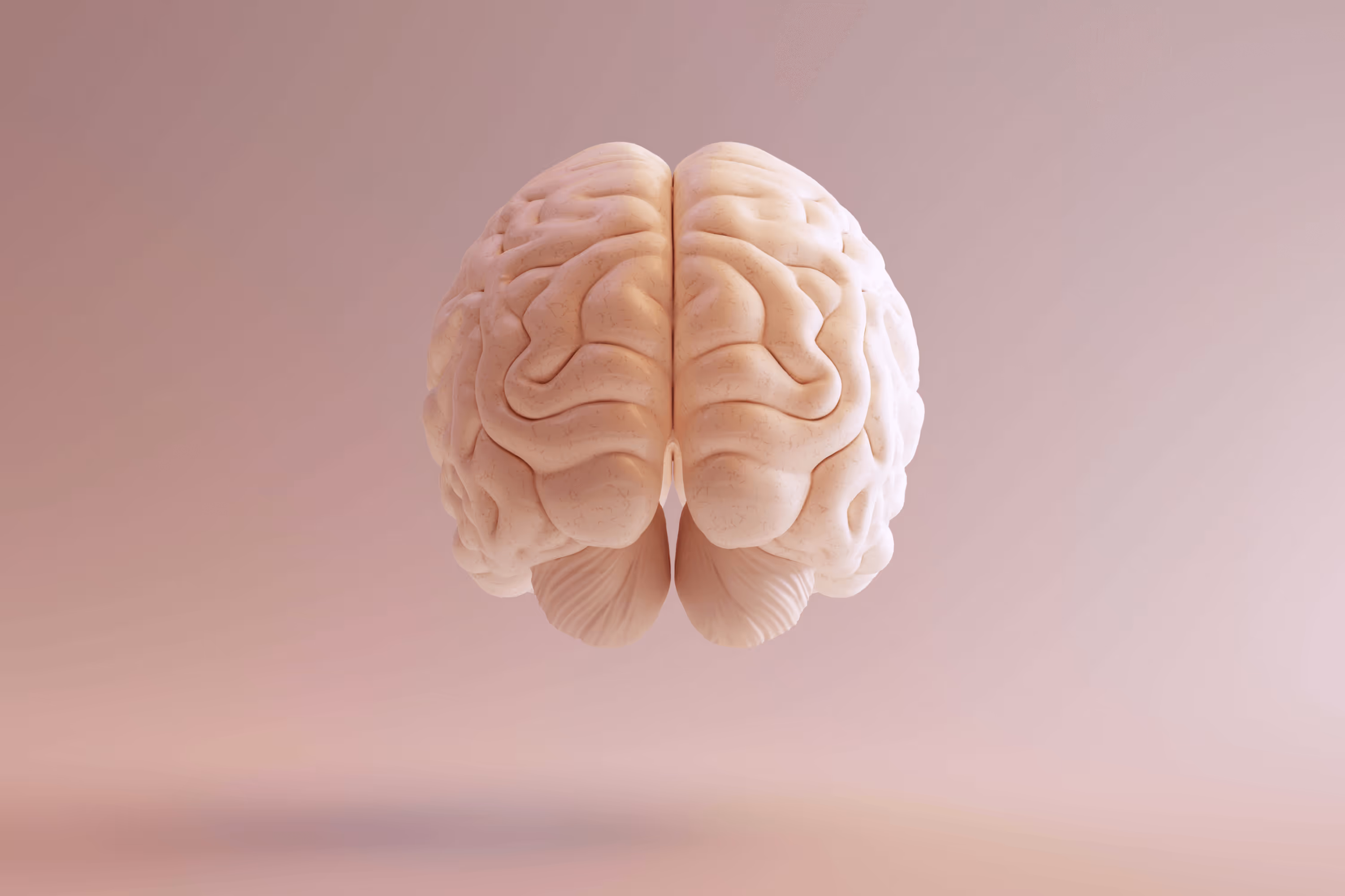 Effects of maternal choline supplementation on infant neurobehavioral development