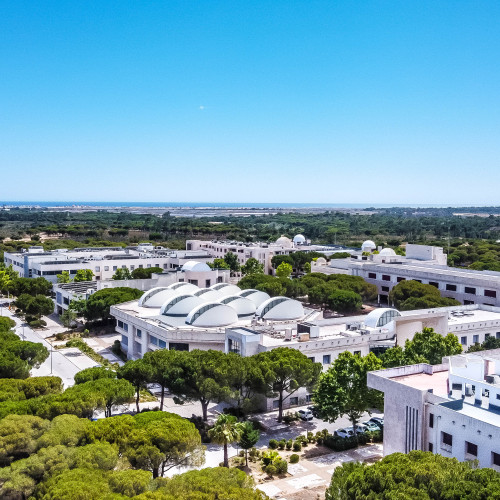 UAlg Campus de Gambelas