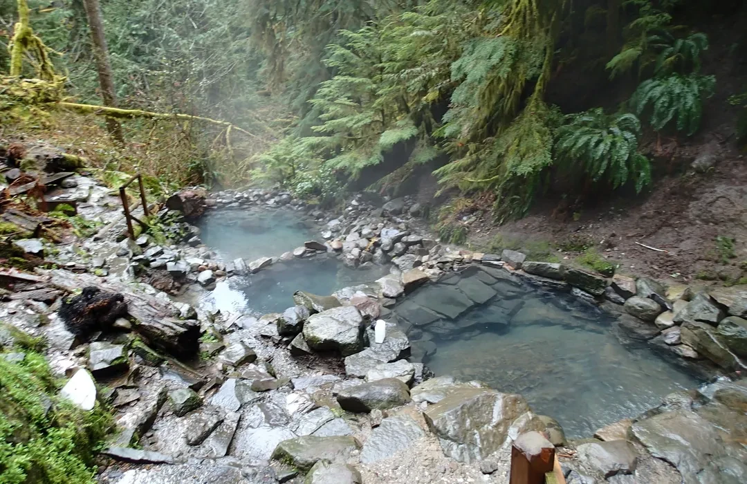 Hot springs in a lush forest in Terwilliger (Cougar) Hot Springs, Oregon