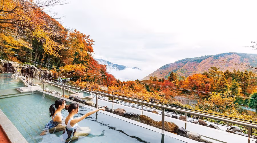 People soaking in outdoor thermal pool overlooking a leafy valley in Hakone Kowakien Yunessun, Japan