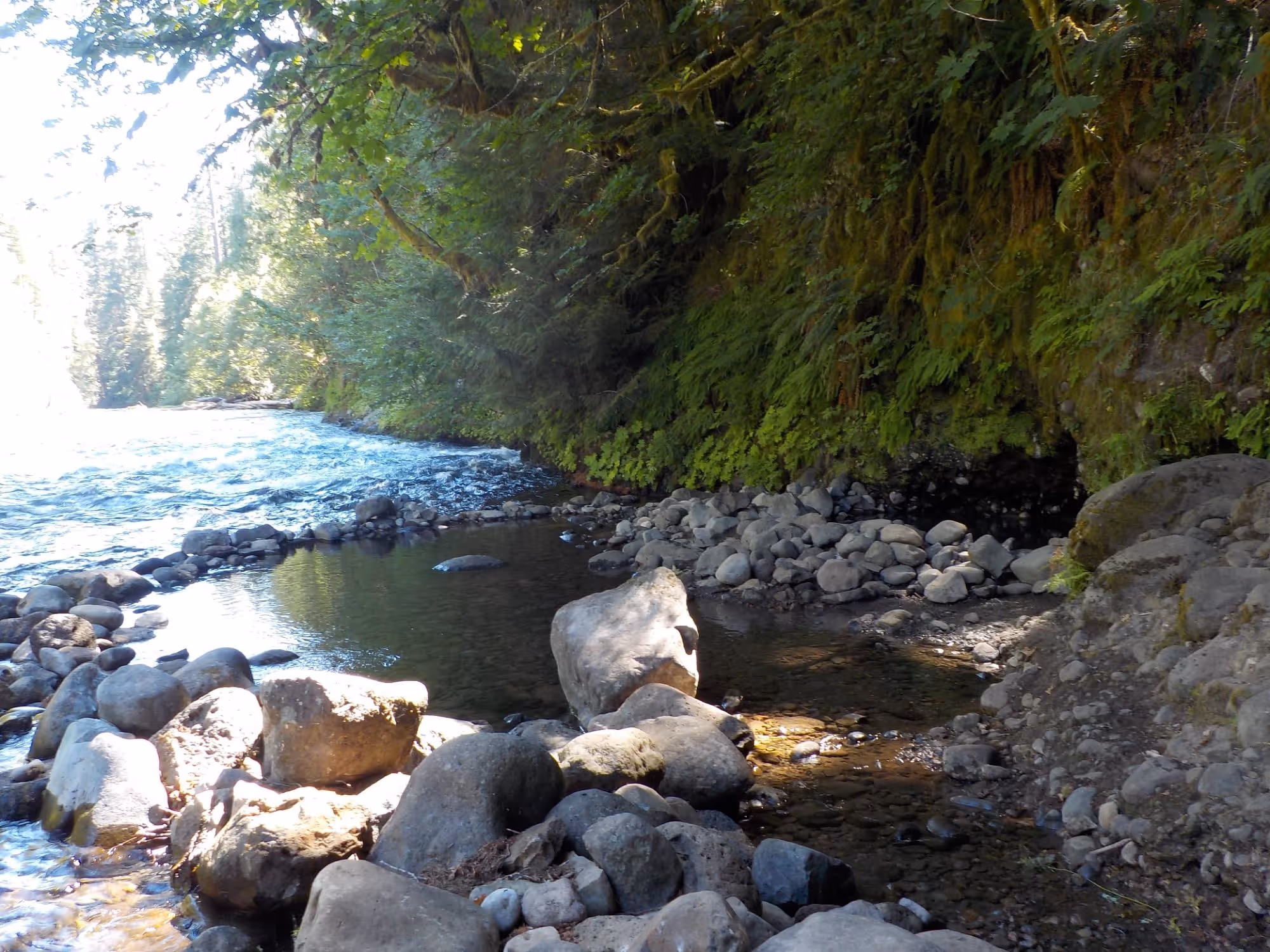 riverside hot spring in Deer Creek (Bigelow) Hot Springs, Oregon