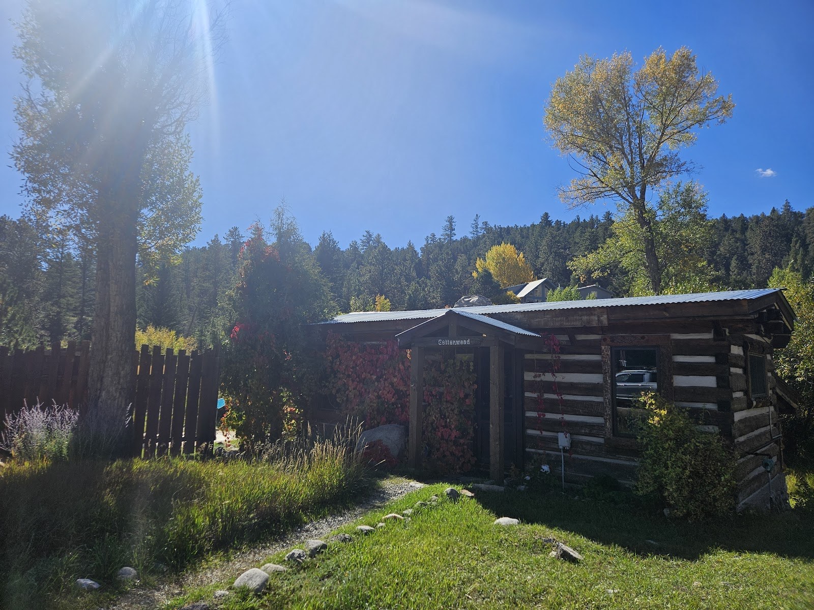 Rustic wooden cabin exterior at Antero Hot Springs Cabins surrounded by trees and greenery in Nathrop, Colorado