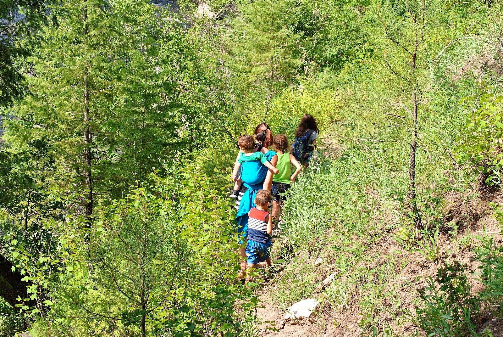 A group of hikers including a woman carrying a child walking along a narrow forest trail near Piedra River Hot Springs in Colorado