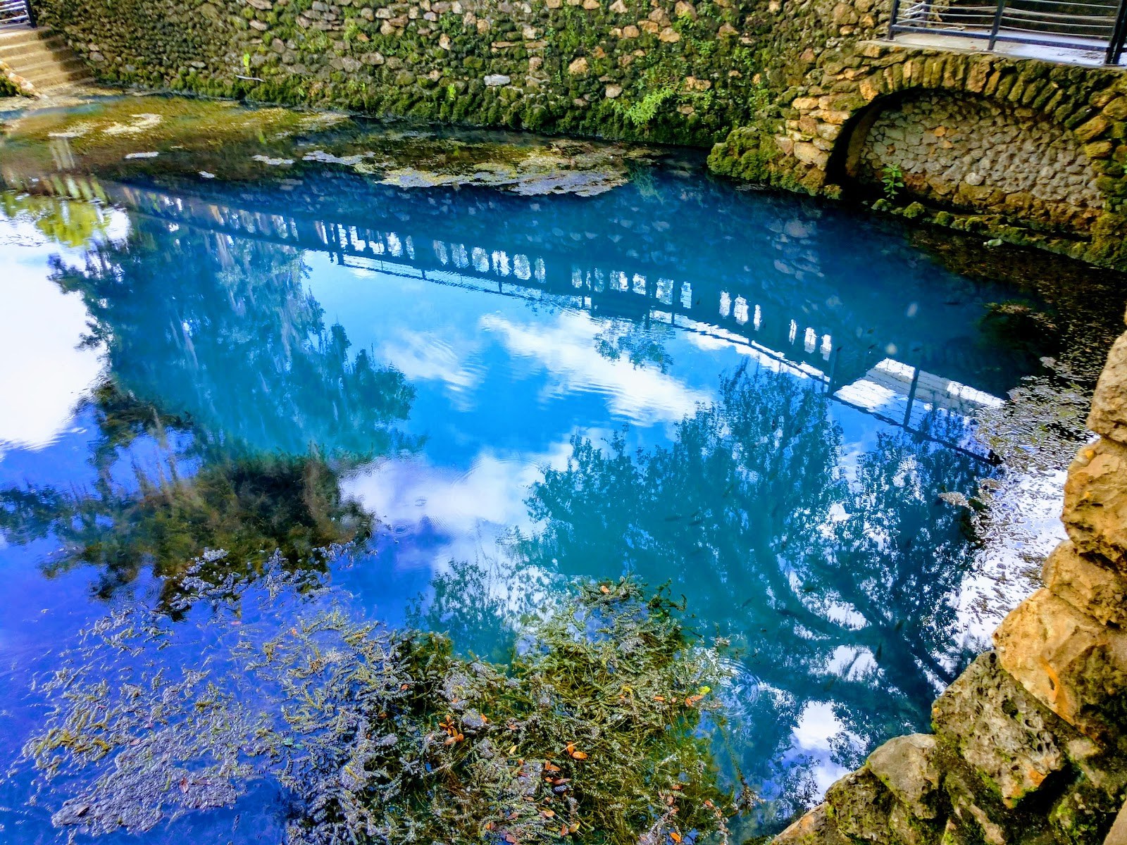 Close-up of clear vibrant blue spring water with moss and stone walls at Radium Springs Gardens near Albany, Georgia in the United States