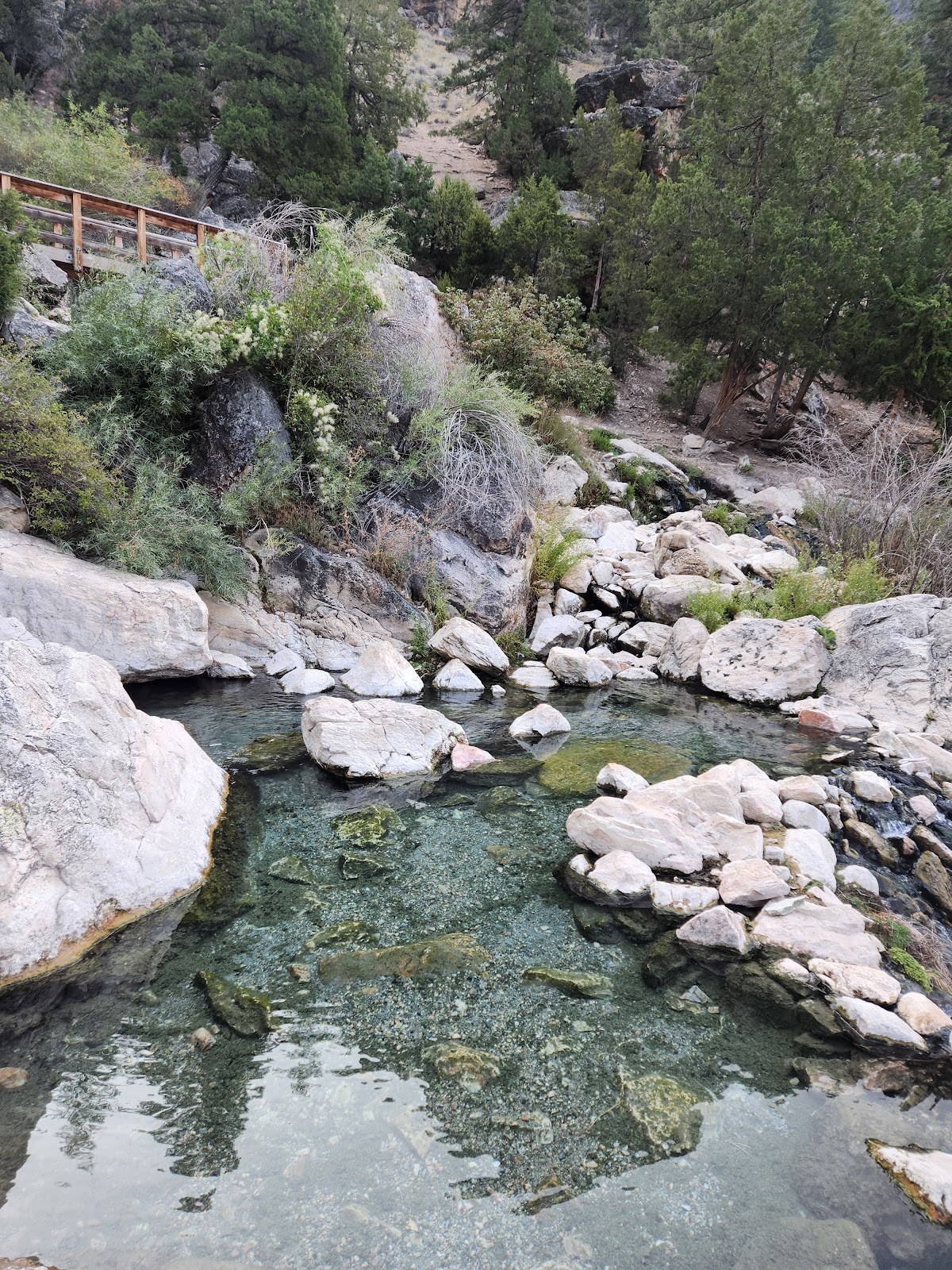 Clear water of a natural hot spring pool with rocky edges and green foliage at Goldbug Hot Springs, located near Salmon, Idaho, USA.