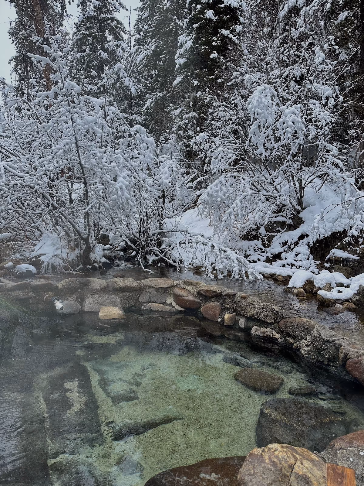 Clear steaming waters in a stone hot spring pool at Trail Creek Hot Springs with snow-covered trees providing a scenic winter setting in Idaho.