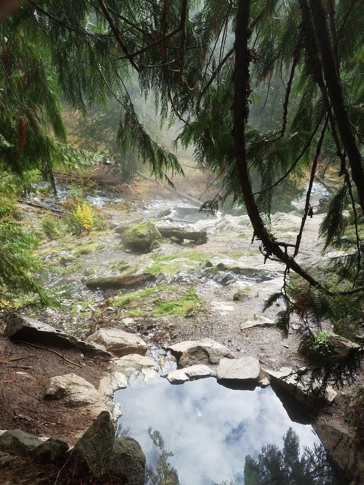 Steamy hot spring pool surrounded by lush forest greenery at Weir Creek Hot Springs close to Kooskia, Idaho, USA.