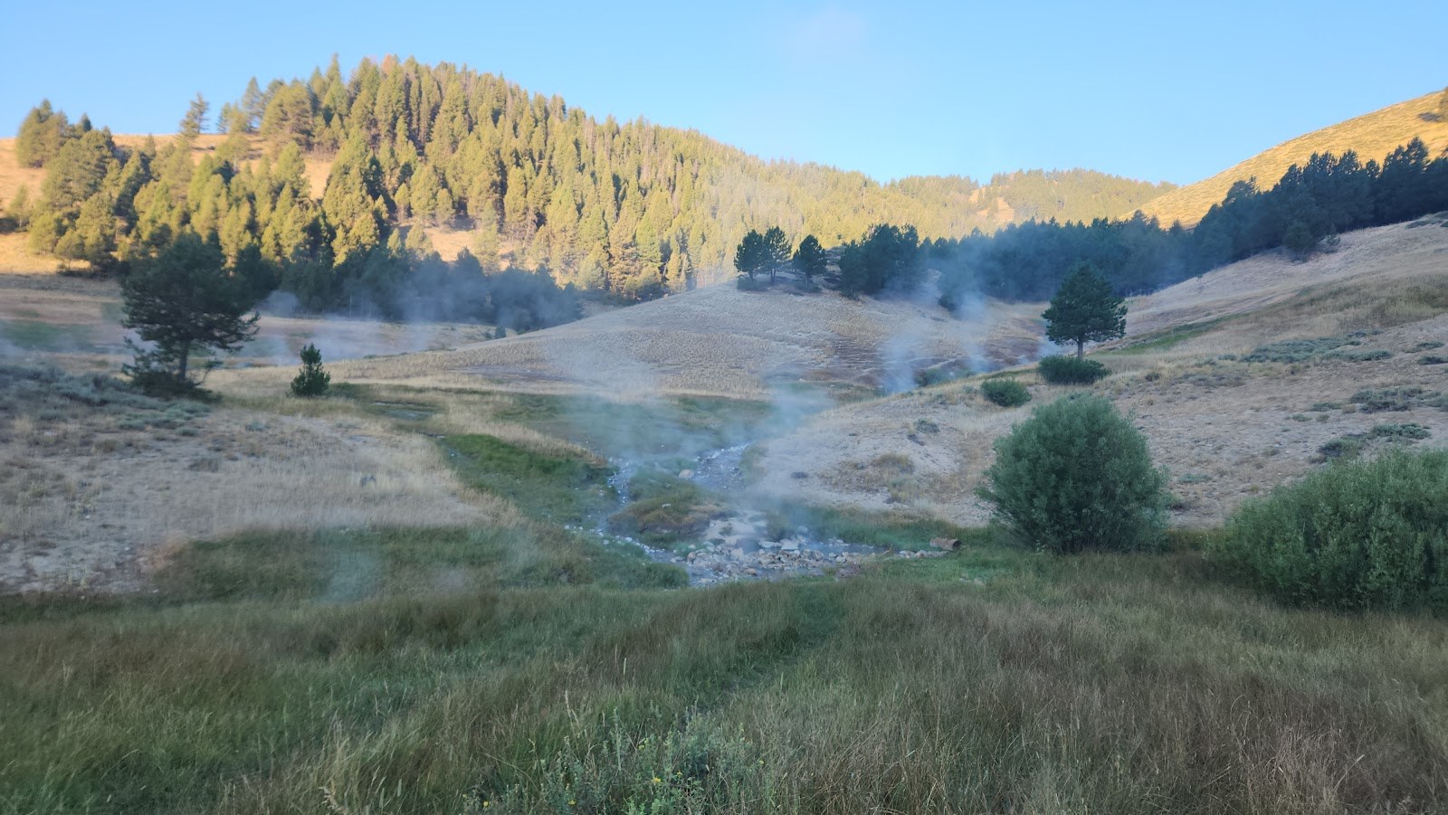 Steam rising from hot water in a natural spring area at Worswick Hot Springs with pine-covered hills in the background near Fairfield, Idaho.