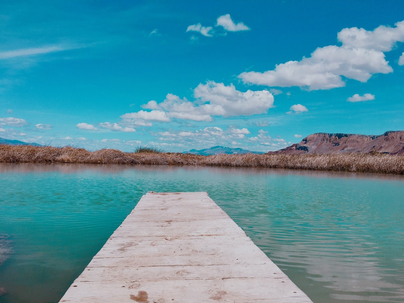 Wooden dock extending into the blue-green waters of Black Rock Hot Springs with steam and distant mountainous horizon near Gerlach, Nevada