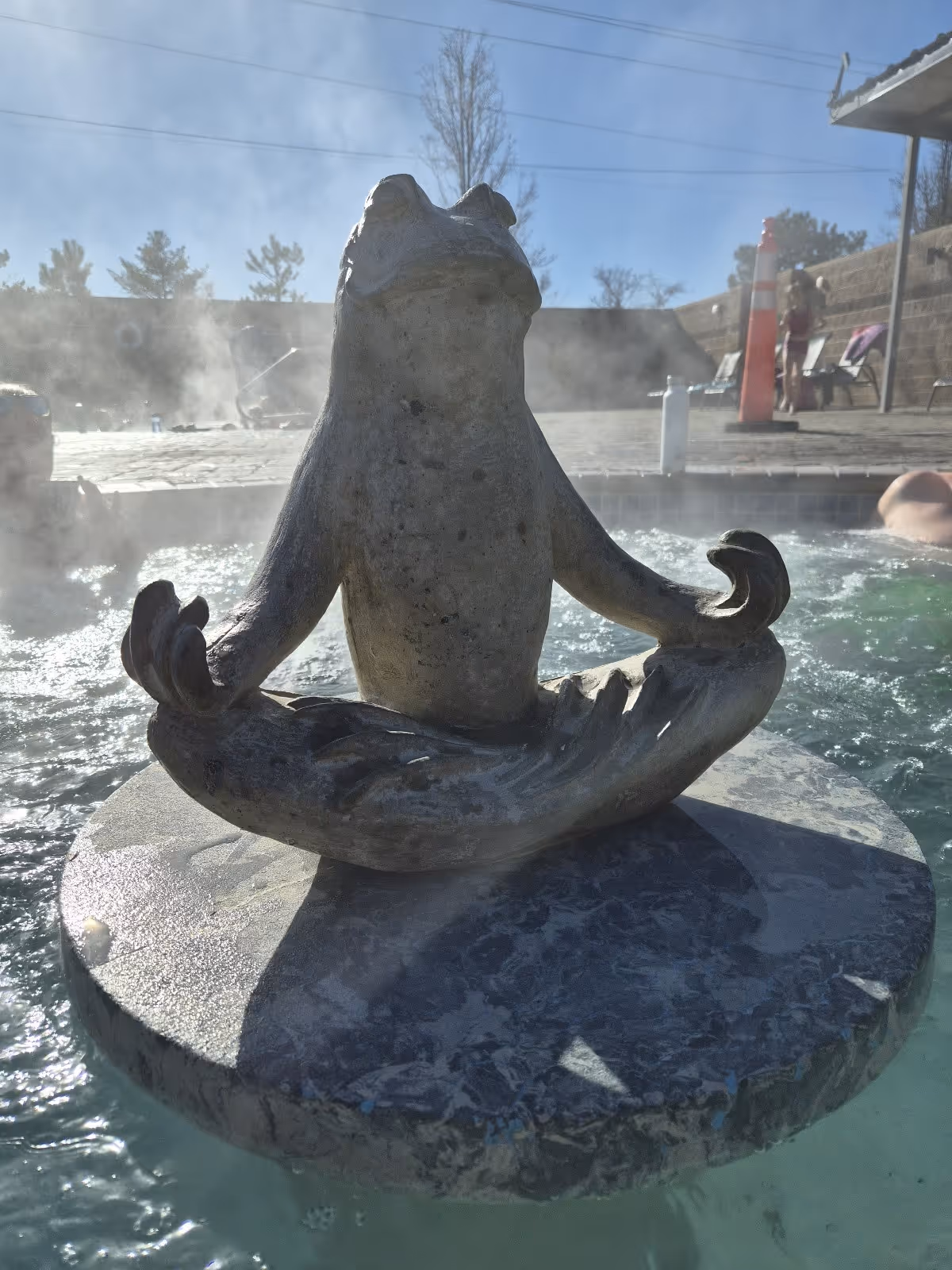 Close-up of a meditating frog statue surrounded by steam in the outdoor spa pool at Carson Hot Springs near Carson City, Nevada.