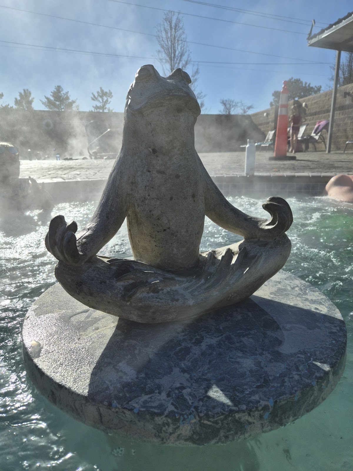 Close-up of a meditating frog statue surrounded by steam in the outdoor spa pool at Carson Hot Springs near Carson City, Nevada.