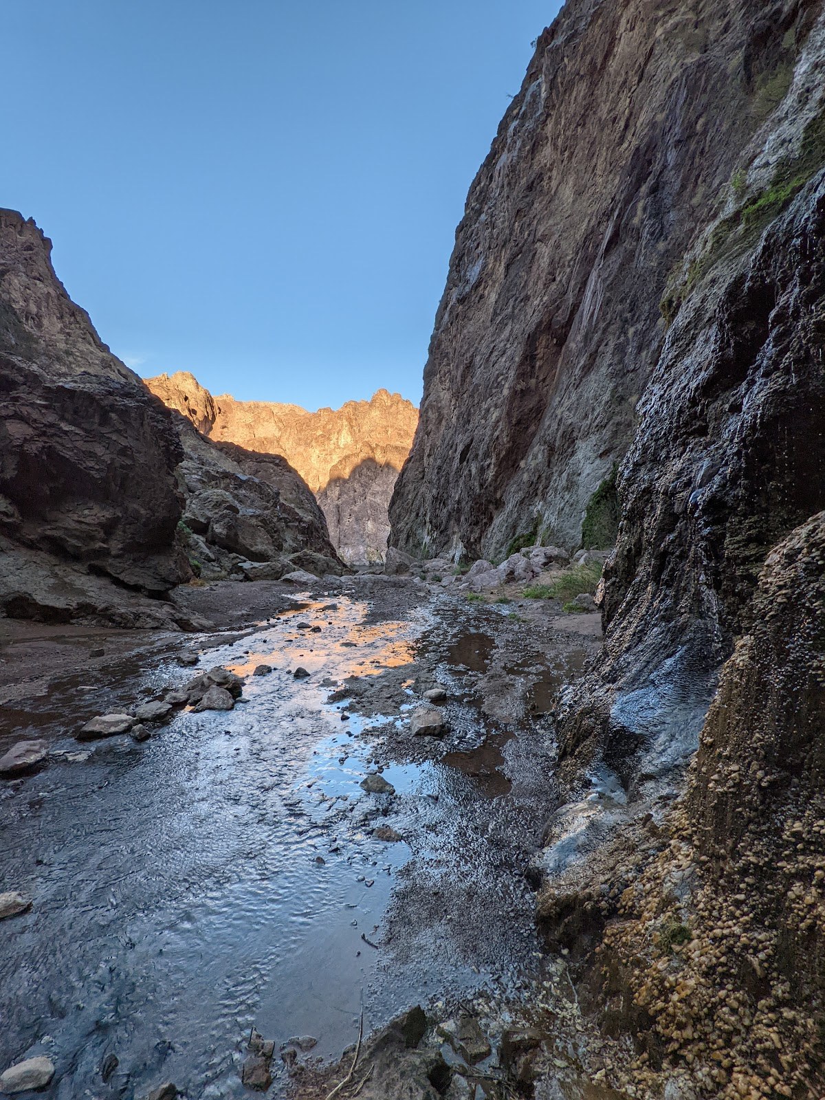 Water flowing through a narrow canyon at Gold Strike Hot Springs, showcasing rocky cliffs and natural Nevada desert scenery.