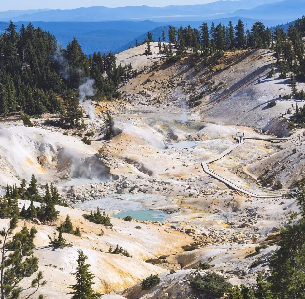 Wide view of Bumpass Hell Trail featuring steaming mineral pools and a winding boardwalk surrounded by pine trees under clear blue sky.