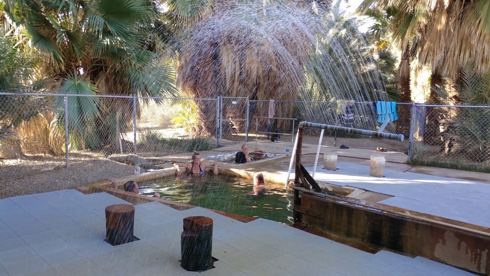 Several people soaking in a rectangular Holtville Hot Springs pool with palm trees and water spraying nearby in Holtville, California.
