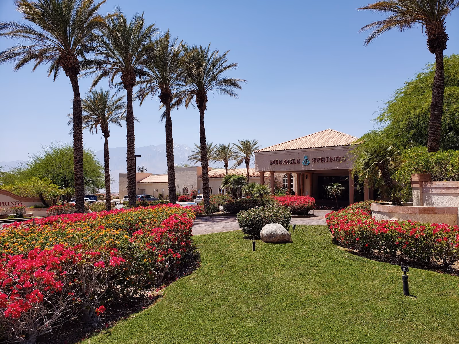Miracle Springs entrance framed by vibrant flower beds and tall palm trees with mountain views under a clear blue sky in California.