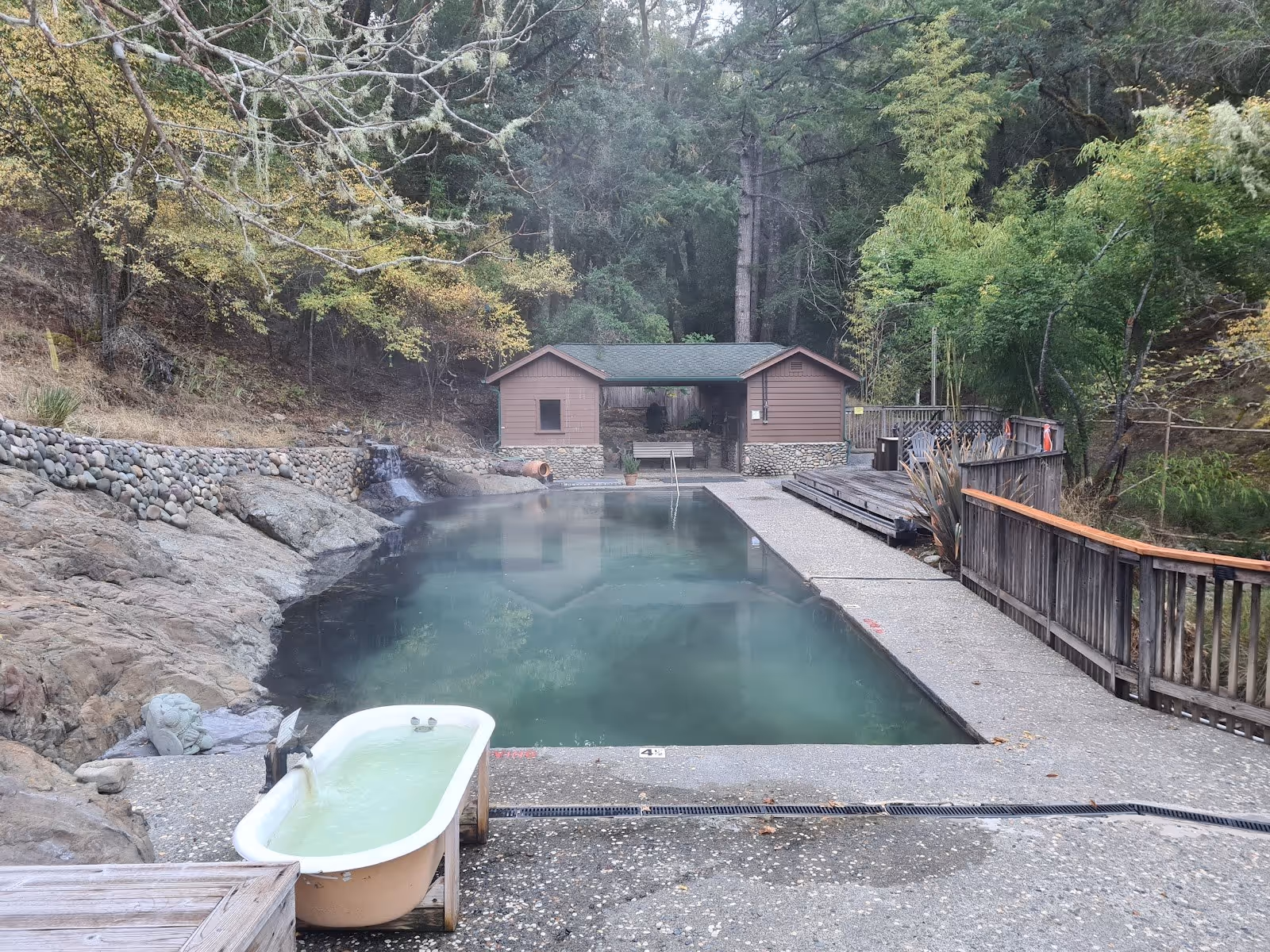 Steam rises from the large outdoor hot spring pool at Orr Hot Springs surrounded by trees near Ukiah, California.