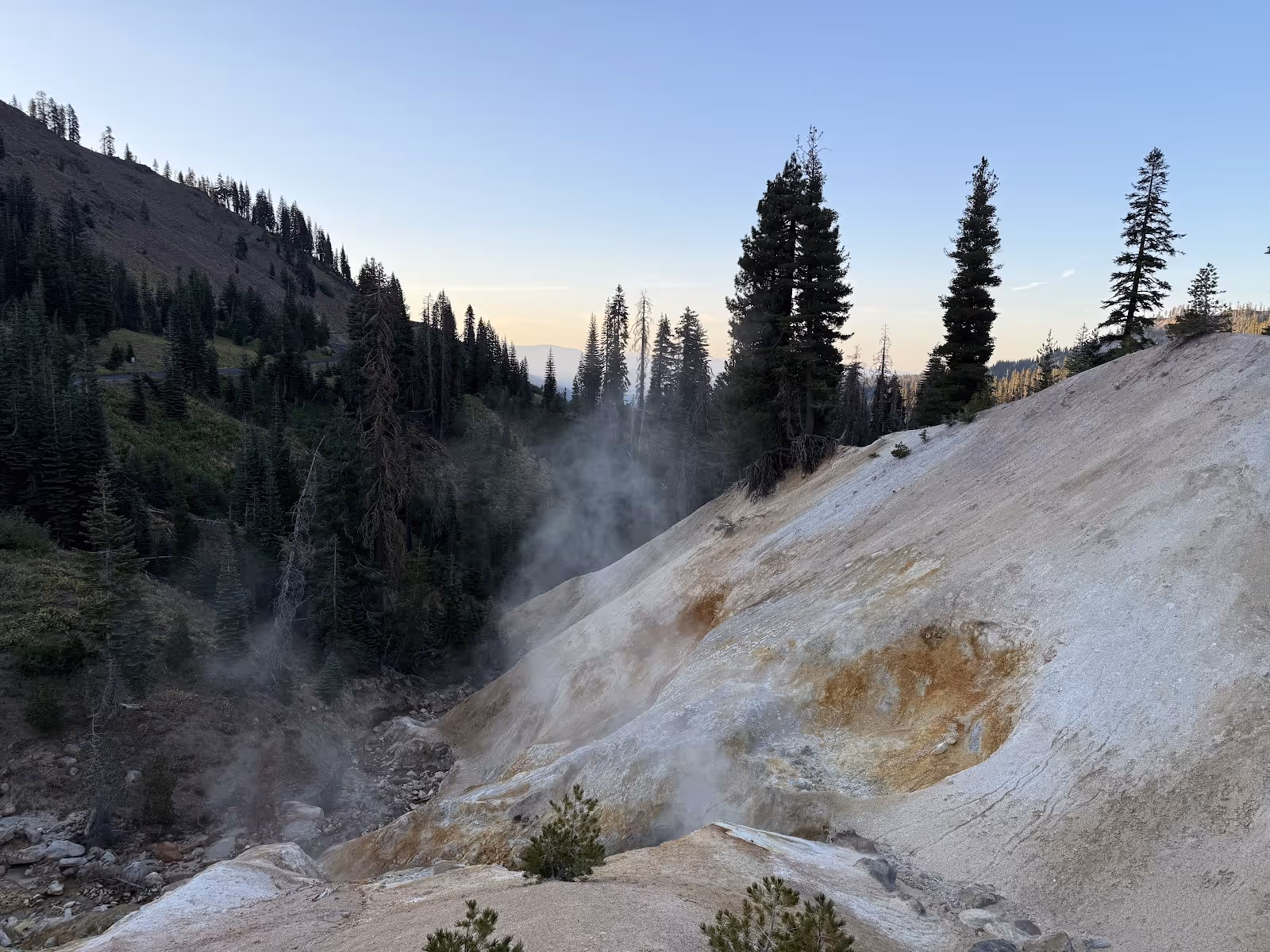 Steaming natural hillside vents with pine trees visible on the slopes near Sulphur Works hot spring in California.