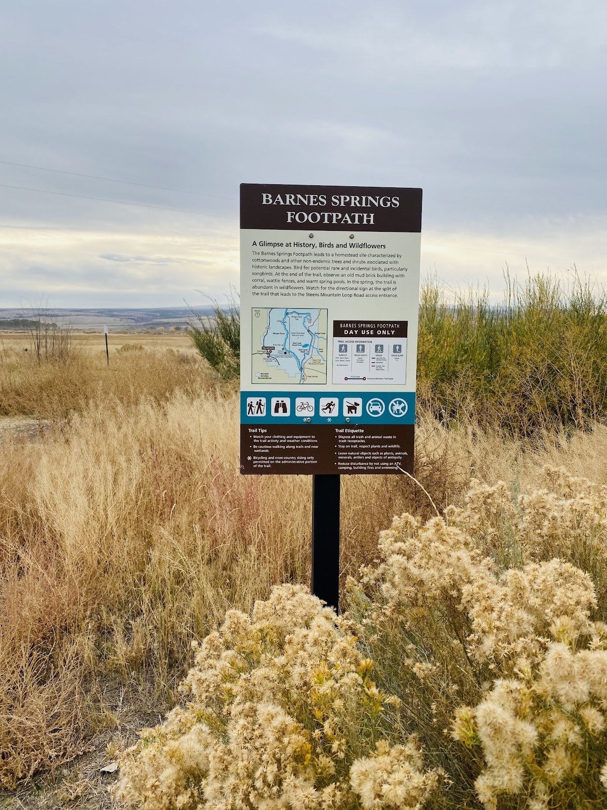 Barnes Springs footpath information sign stands in a dry field with wildflowers and distant hills near Frenchglen Oregon.