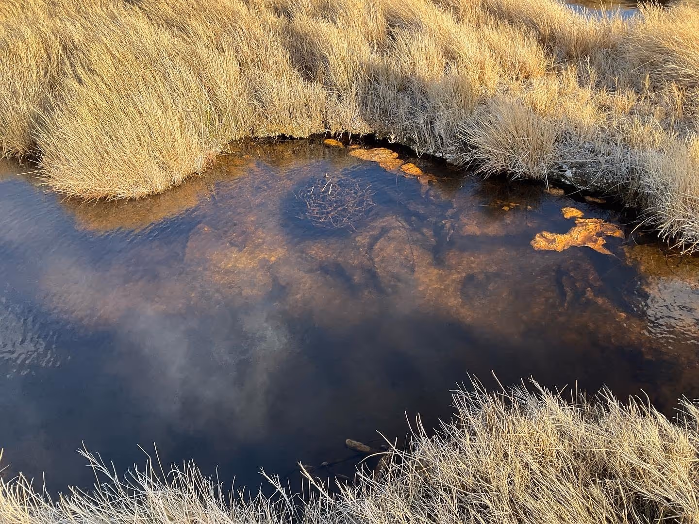 Borax Hot Springs, Oregon