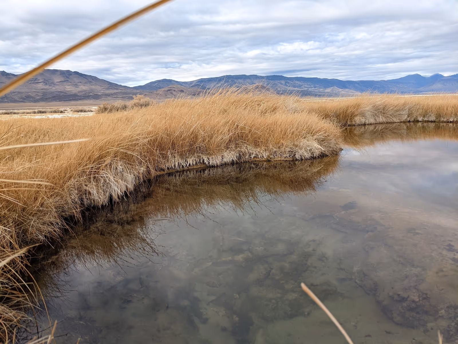 Clear water in a shallow hot spring pool reflecting cloudy skies and dry grasses near Fields, Oregon at Borax Hot Springs.