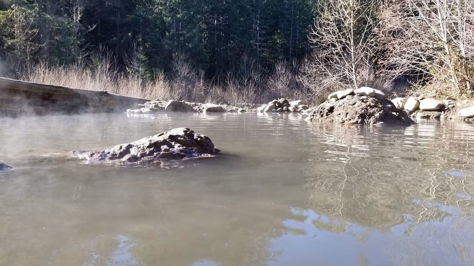 Close view of a mineral-rich hot spring pool with visible steam rising and rocks forming a boundary in a forested area at McCredie Hot Spri.