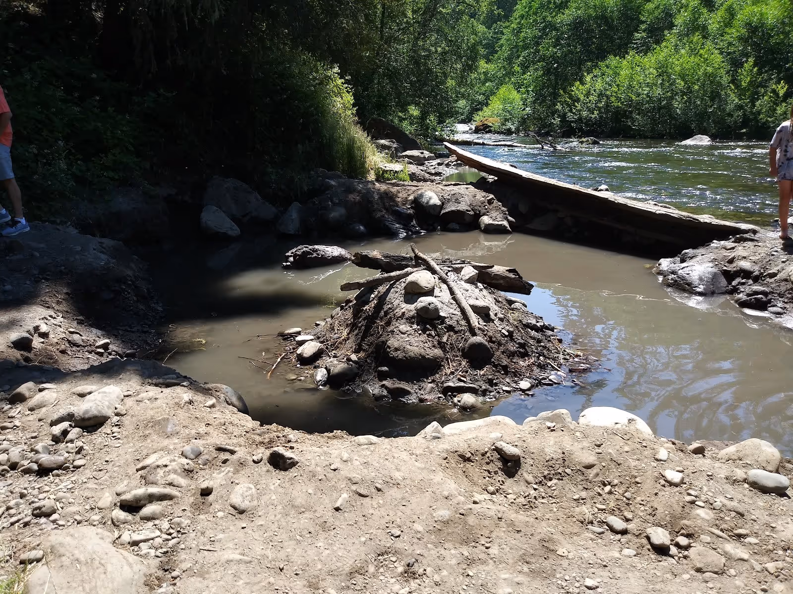 A small muddy hot spring pool near a flowing river with green trees and rocky terrain in Oakridge, Oregon at McCredie Hot Springs.