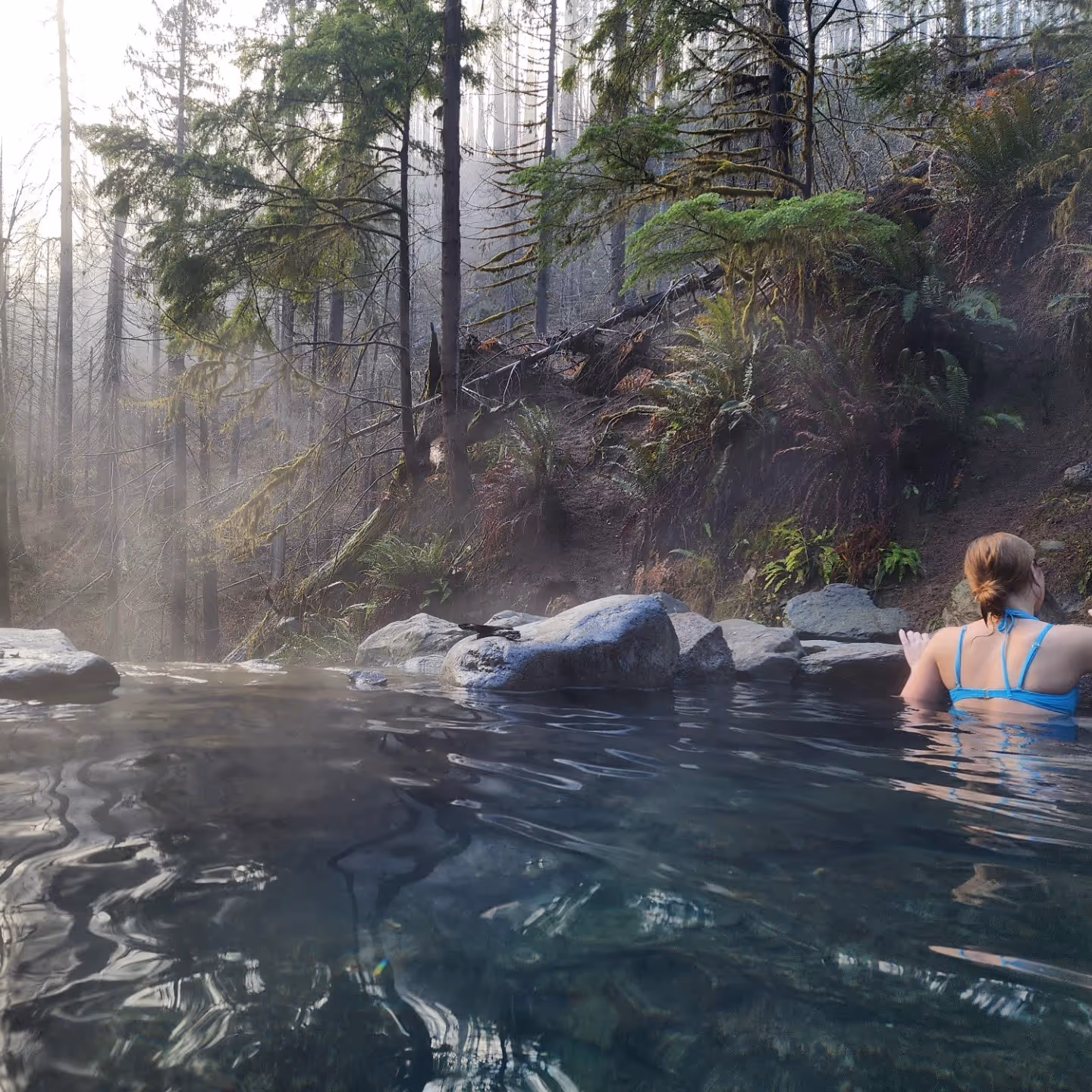 Person enjoying a hot spring soaking pool amid tall trees and humid forest steam at Terwilliger Cougar Hot Springs in Oregon.
