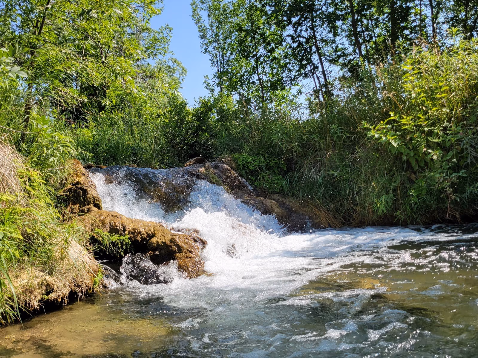 A small waterfall feeds a calm natural pool bordered by dense green bushes and grasses under a blue sky at Cascade Falls near Hot Springs s.