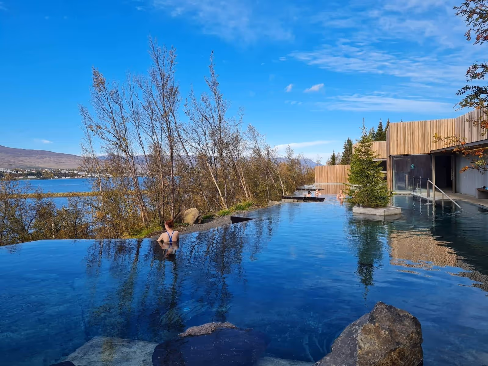 Infinity pool at Forest Lagoon with people soaking, trees along the edge, and views of water and distant town in Iceland.