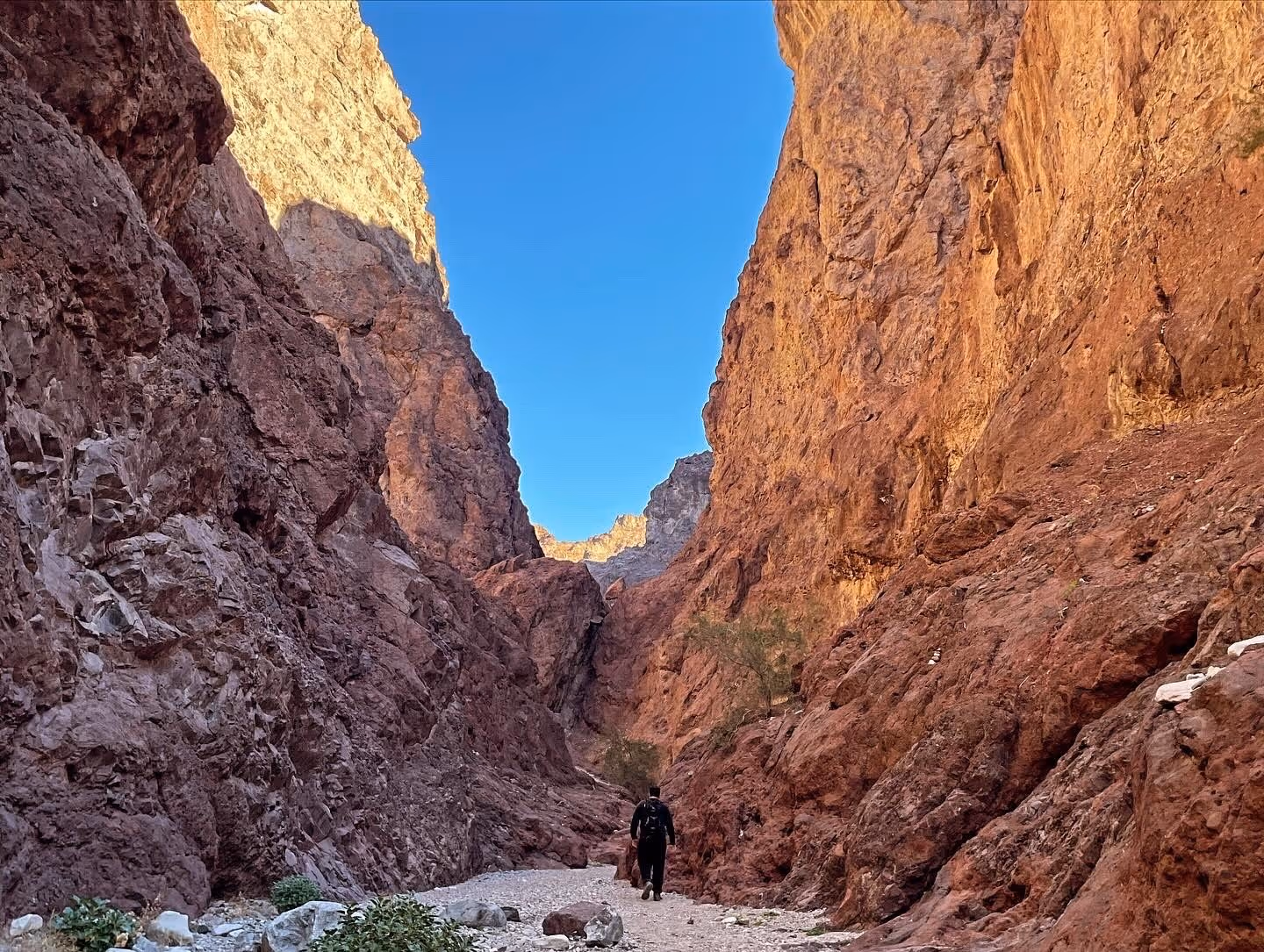 A lone hiker walks on a rocky canyon trail with steep orange walls and a blue sky overhead near Willow Beach, Arizona.