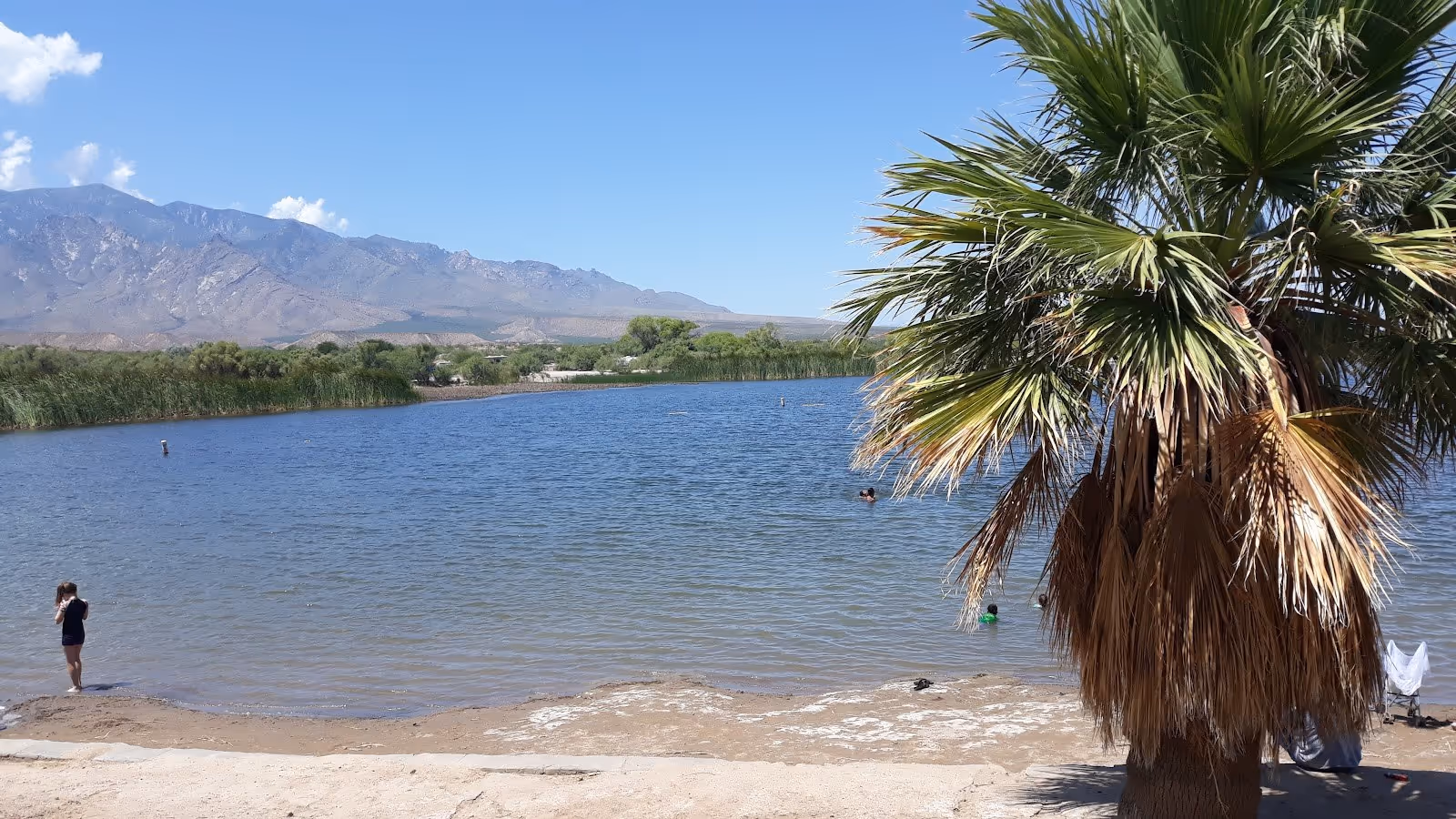 Lake beach area at Roper Lake State Park Hot Spring near Safford Arizona showing people enjoying water with palm trees and mountain backdro.