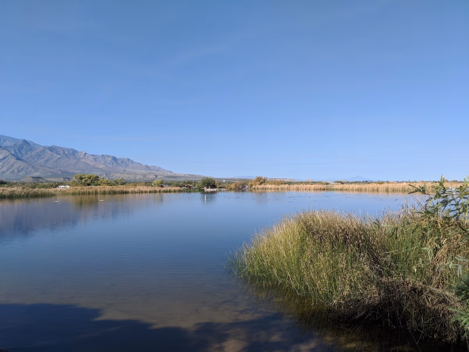 Wide view of Roper Lake State Park Hot Spring with clear blue water, surrounding reeds and grasses, and distant mountains under a clear sky.
