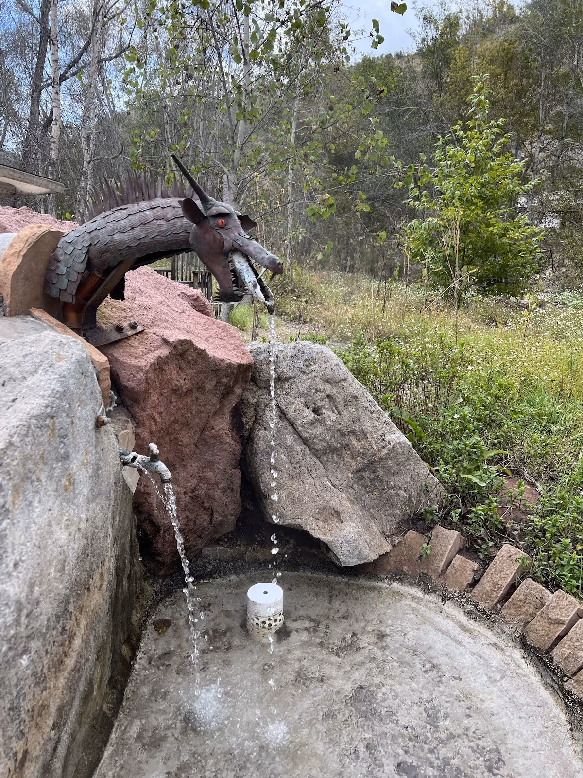 Metal dragon sculpture water spout pouring water into a rocky basin in a wooded area at Gila Hot Springs Campground in New Mexico.