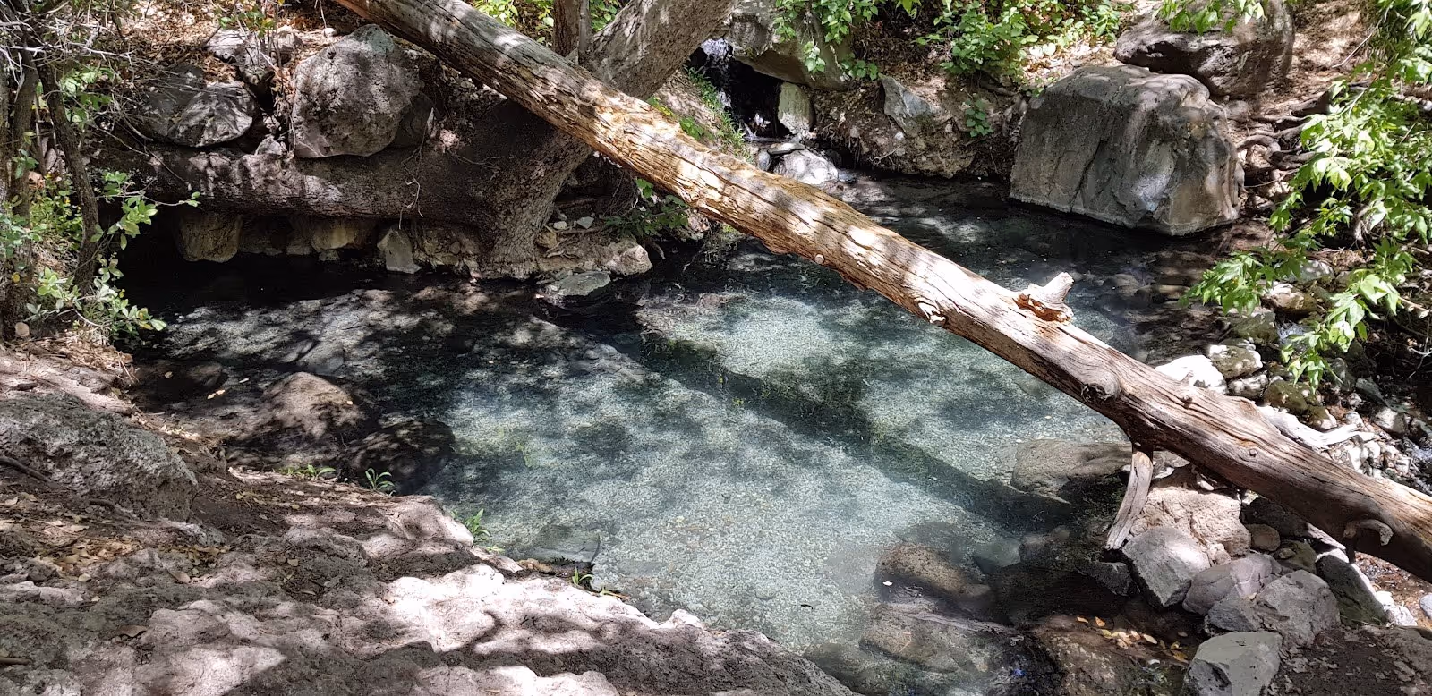 Jordan Hot Spring, New Mexico