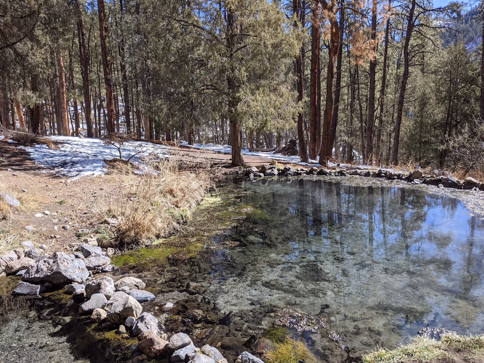 Clear water in a rounded natural hot spring pool edged with stones, with patches of snow and tall trees nearby at McCauley Warm Springs in.
