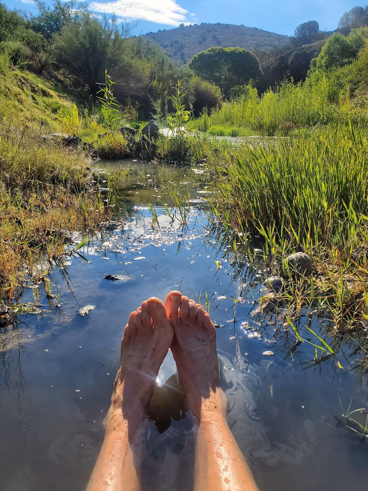 Legs and feet soaking in a shallow stream with green vegetation, hills, and a bright sky visible at San Francisco Hot Springs near Reserve.