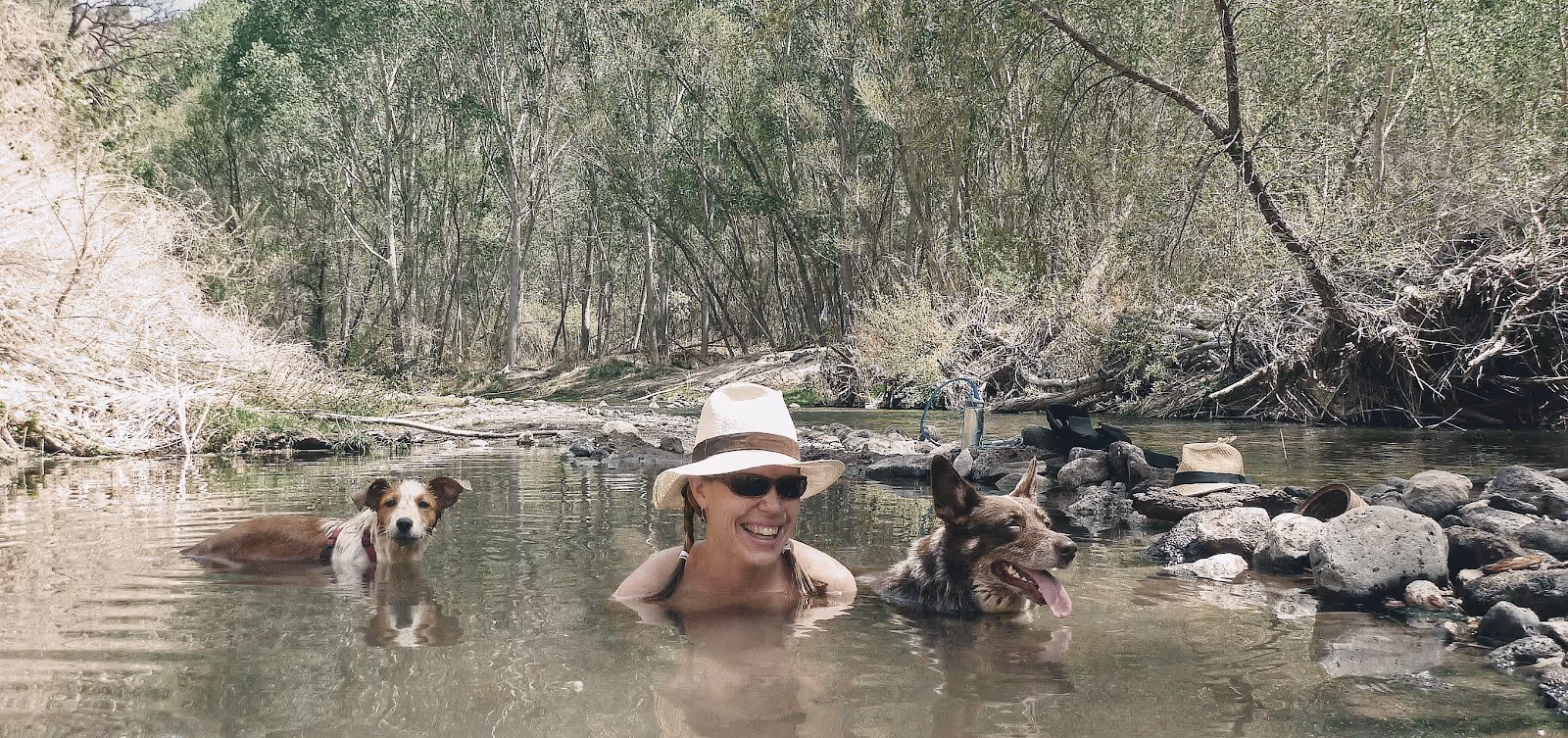 Person wearing sunglasses and a hat relaxing in a natural hot spring pool with two dogs surrounded by trees at San Francisco Hot Springs ne.