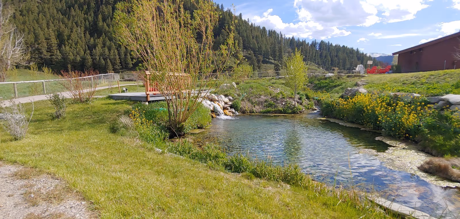 Natural pool at Astoria Hot Springs in Wyoming reflecting green trees and blue sky with nearby grassy area and a wooden deck.