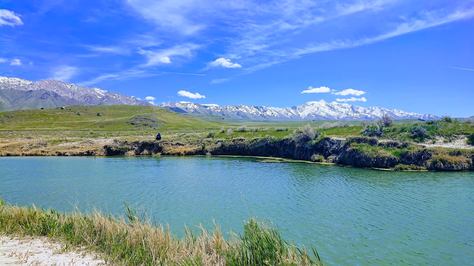 Large mineral pool with greenish water reflecting blue sky and snow-capped mountains visible beyond the shore in Horseshoe Springs Utah.
