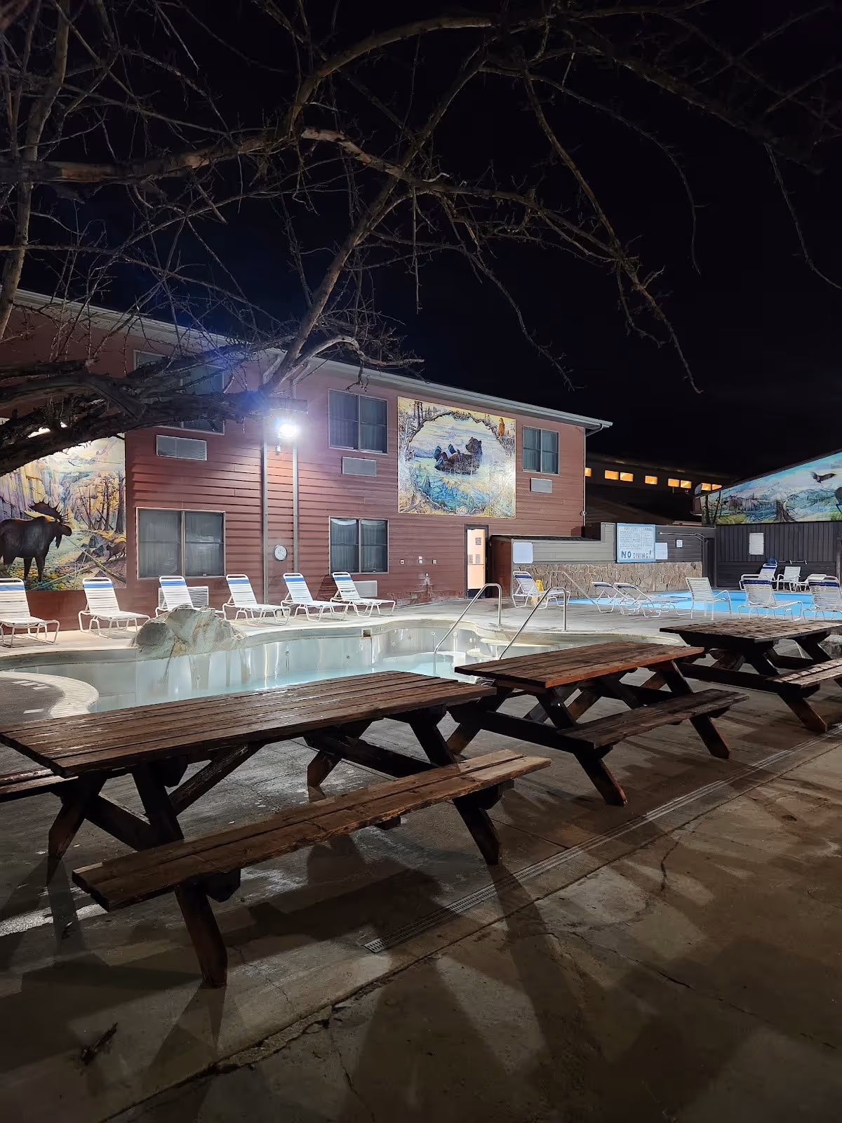 Night view of empty spa pools and long wooden picnic tables outside Spa Hot Springs Motel and Clinic with moose mural visible.