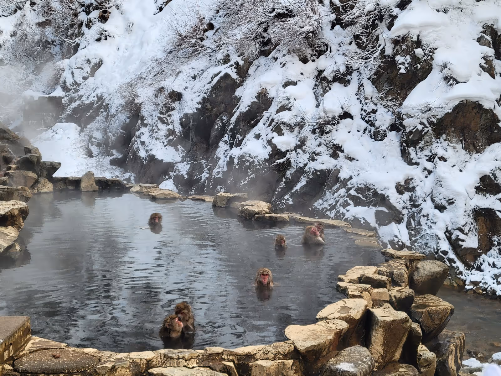 Several snow monkeys sitting on rocks near the edge of a hot spring pool with steam and rocky terrain at Jigokudani Monkey Park in Japan.