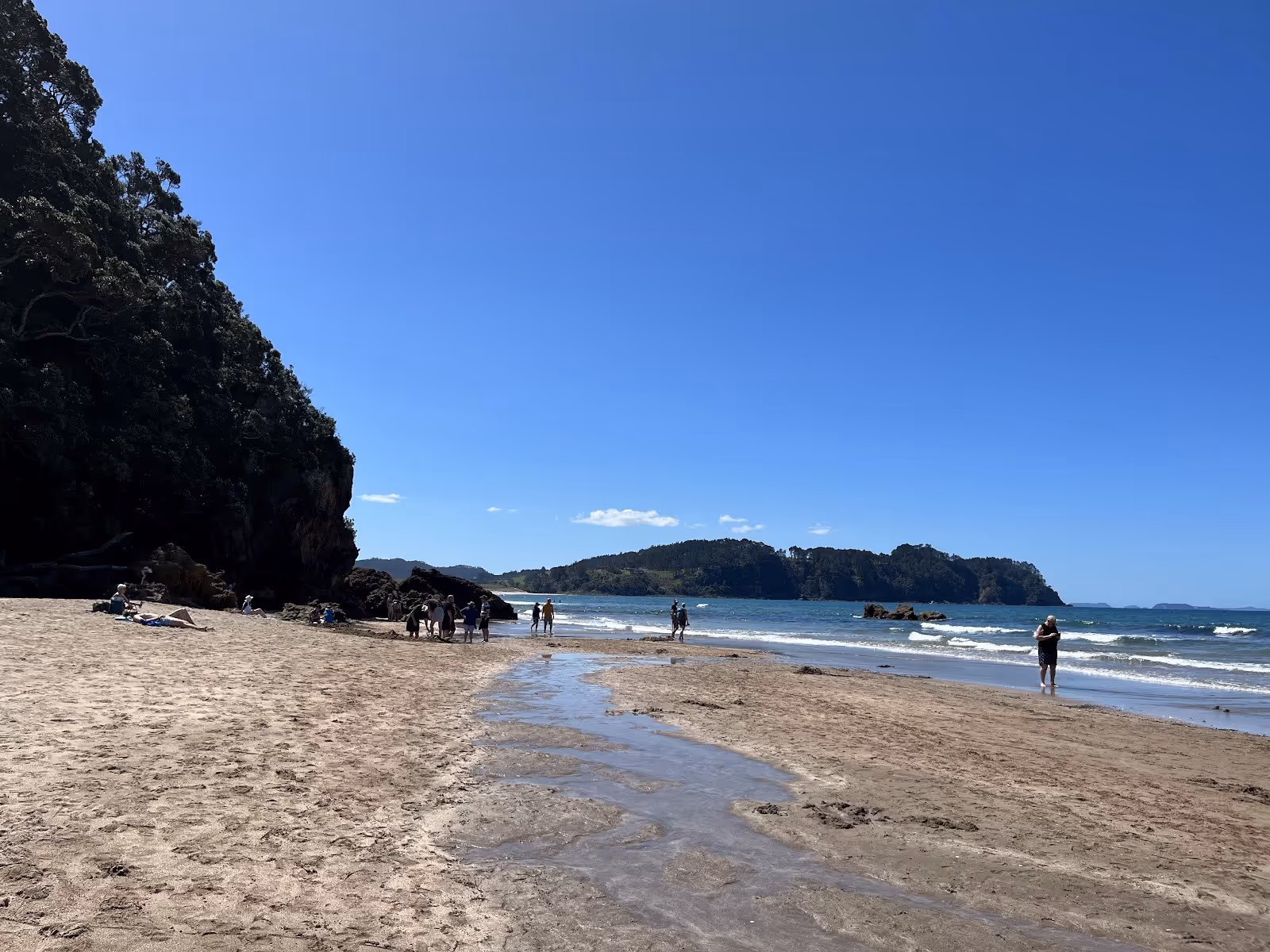 Wide sandy beach with scattered visitors walking and enjoying the area near Hot Water Beach by Whitianga New Zealand.