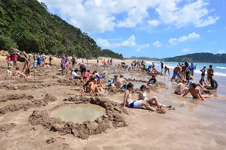 Many people relax in hot water pools dug in sand along Hot Water Beach near Whitianga New Zealand on a sunny day.