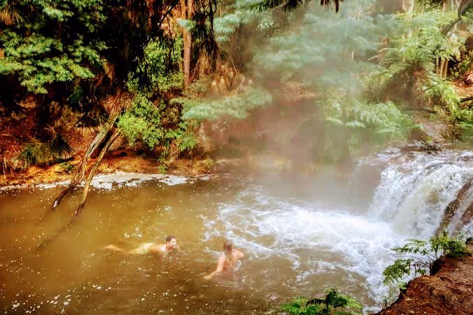 Steam rising from Kerosene Creek hot spring pool with visitors soaking near a small waterfall in Rotorua New Zealand forest.