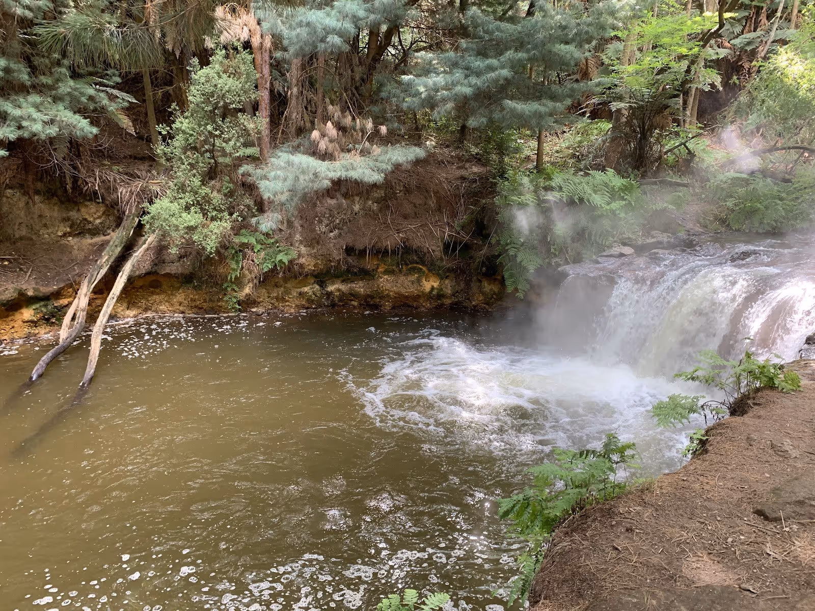 View of Kerosene Creek hot spring with steaming waterfall cascading into a mineral pool surrounded by dense forest near Rotorua New Zealand.