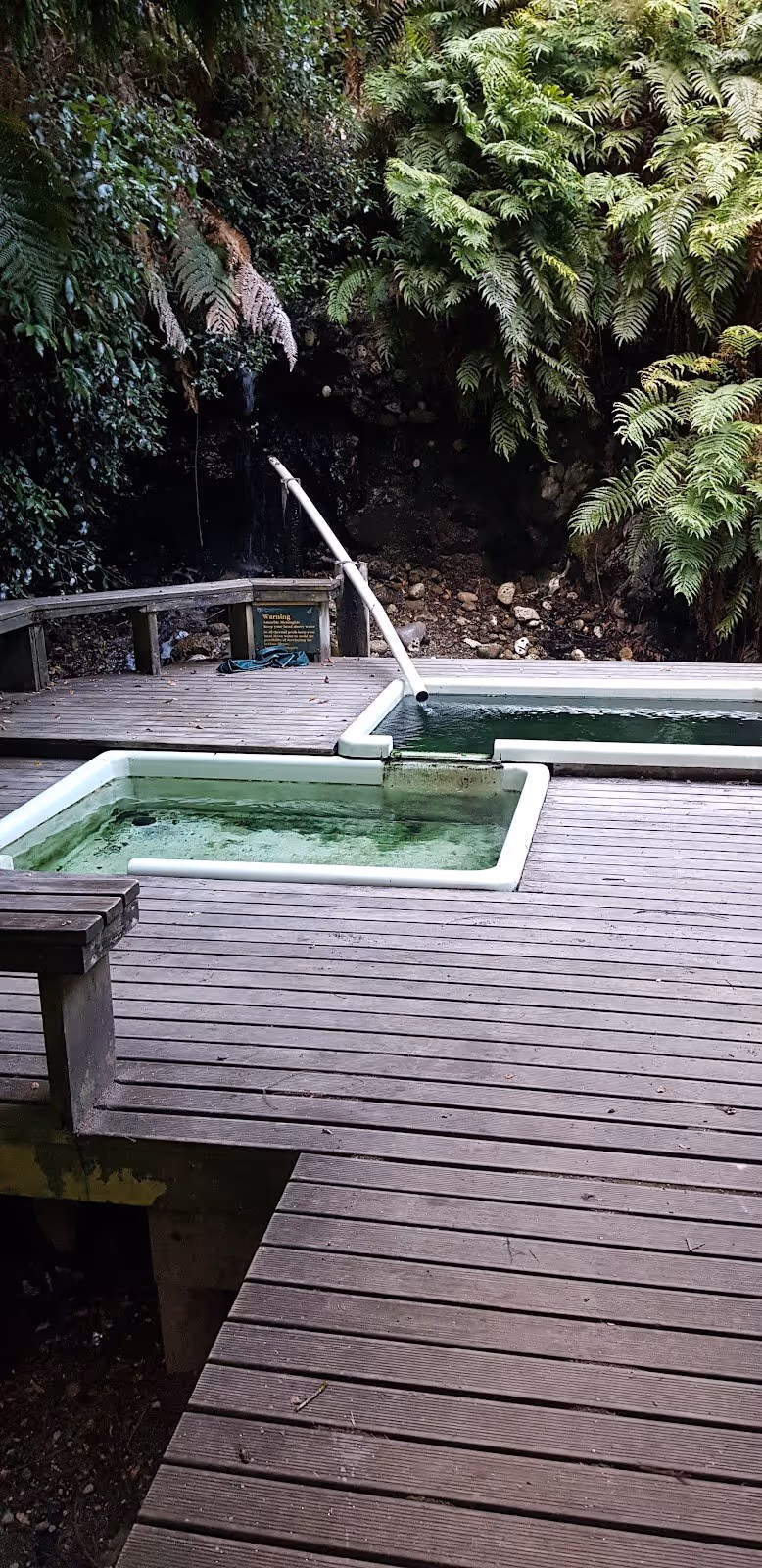 Two rectangular soaking pools with wooden decking surrounded by lush ferns at Mangatainoka Hot Springs near Napier New Zealand.